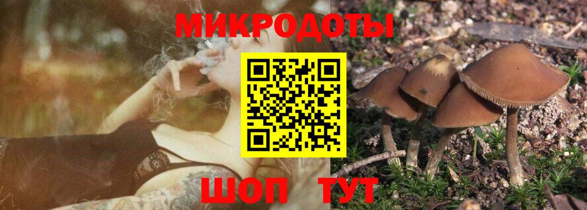 Псилоцибиновые грибы мицелий  Вход с VPN  Советская Гавань  Галлюциногенные грибы GOLDEN TEACHER 